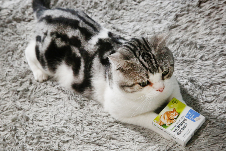 拜宠清驱虫药猫用怎么样,拜耳拜宠清猫驱虫药服用注意事项