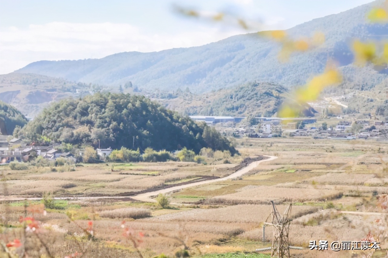 用鹰捕猎,用老鹰捕猎