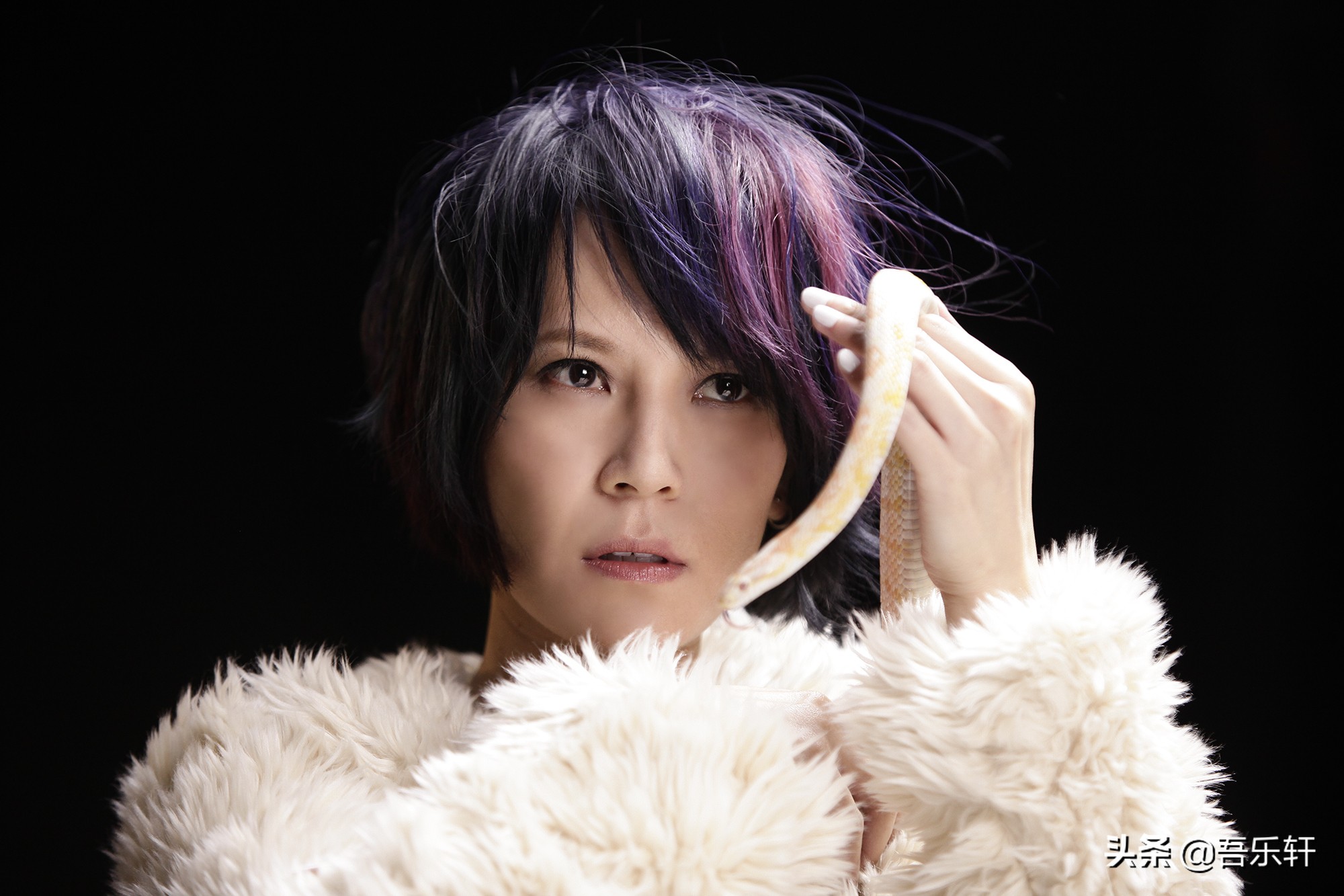 杨乃文经典情歌,杨乃文12首经典歌曲