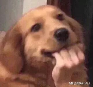 悦诗风吟绿瓶的不卖了吗,悦诗风吟为什么不卖口红了