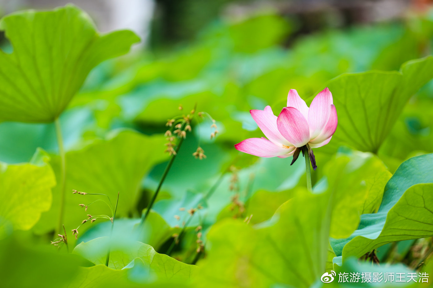 户外摄影向笨重电脑说拜拜,RAVPower无线WiFi-文件宝评测来了