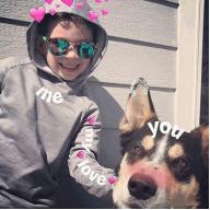 狗狗冻干肉测评,狗狗肉冻干推荐