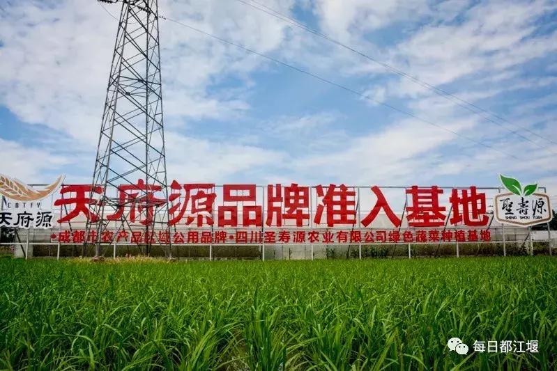 壮丽70年·奋斗新时代|农村电商让都江堰农旅产品“香”起来!