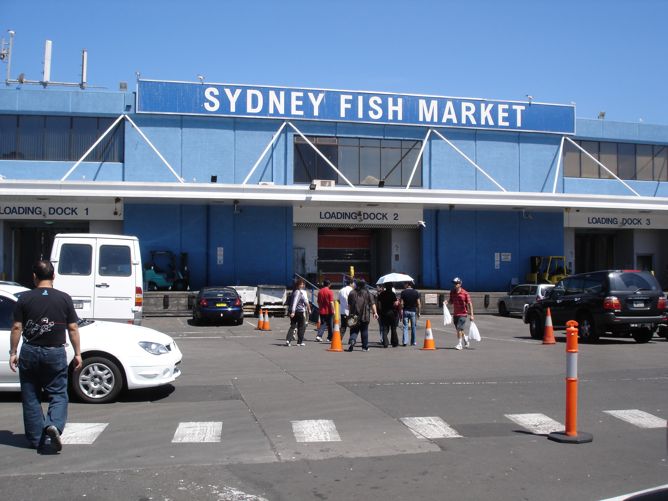 澳大利亚可以钓什么鱼,澳大利亚黄金海岸钓鱼