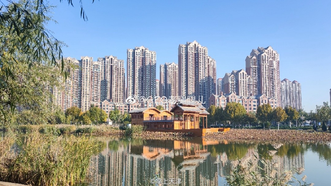 低调的王者完整版,低调的王者奥迪