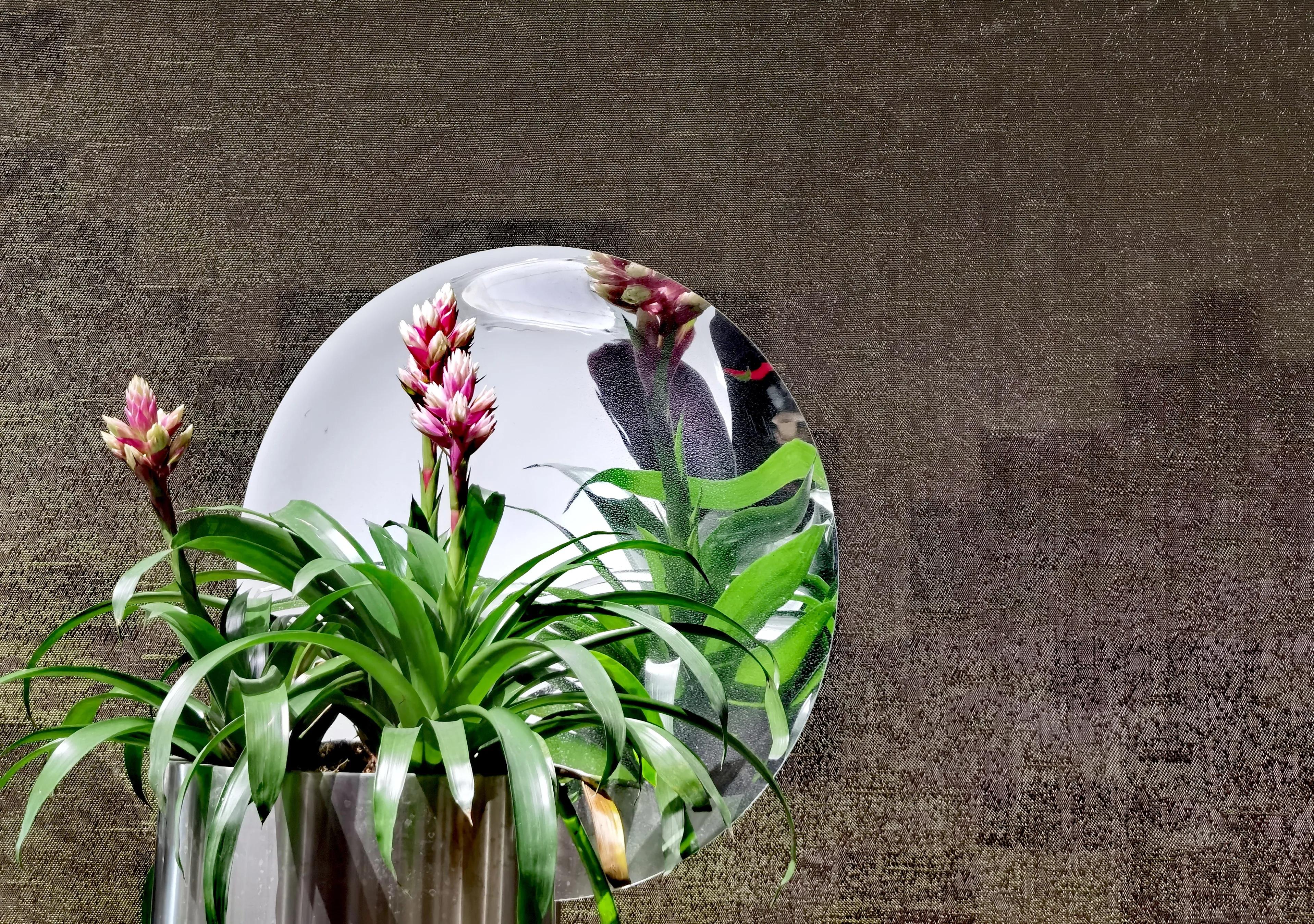 关于崇明花博会,崇明花博会全程花景