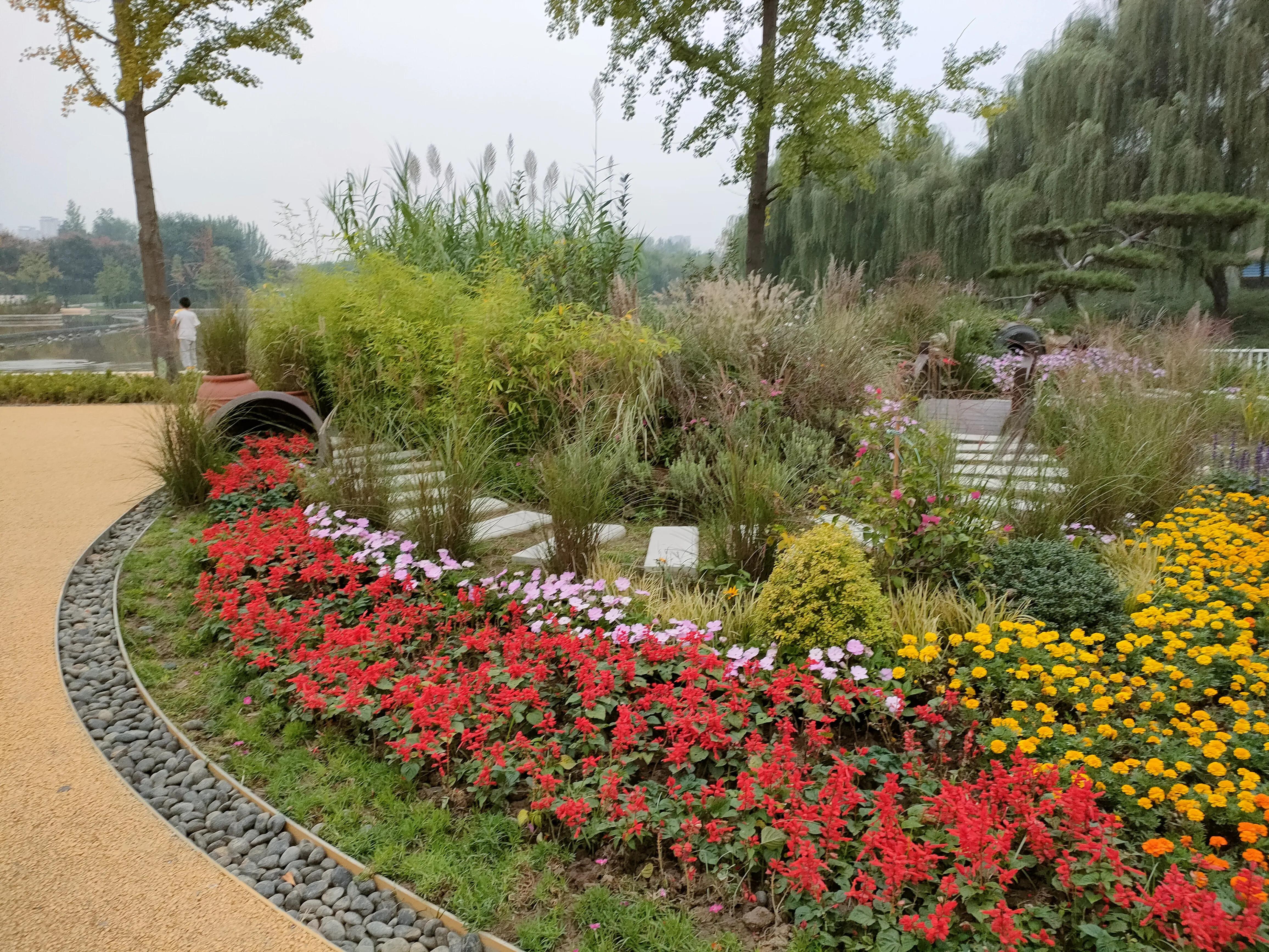 游西安曲江海洋极地公园,国庆去西安海洋极地公园