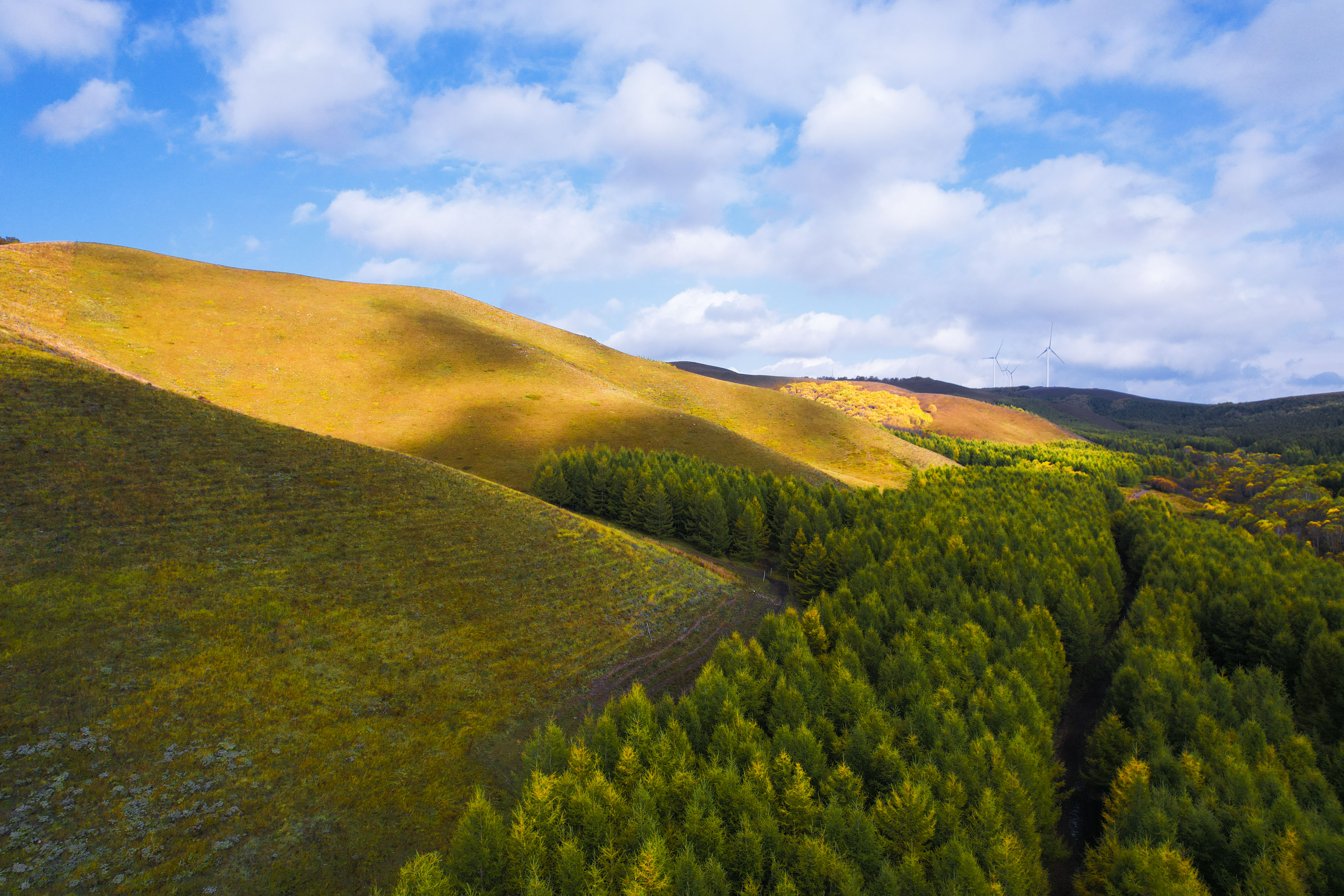 丰宁神仙谷七彩森林景区地图,丰宁坝上七彩森林游玩攻略
