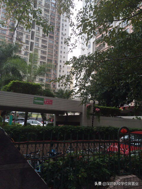 最新深圳百花片区学位房,深圳市福田区百花片区学位房
