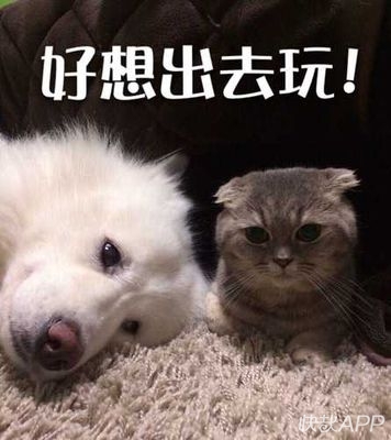 秋景美,国庆游去哪里可以看最美秋景