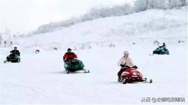 临沂冰雪世界门票,兰山冰雪世界团购