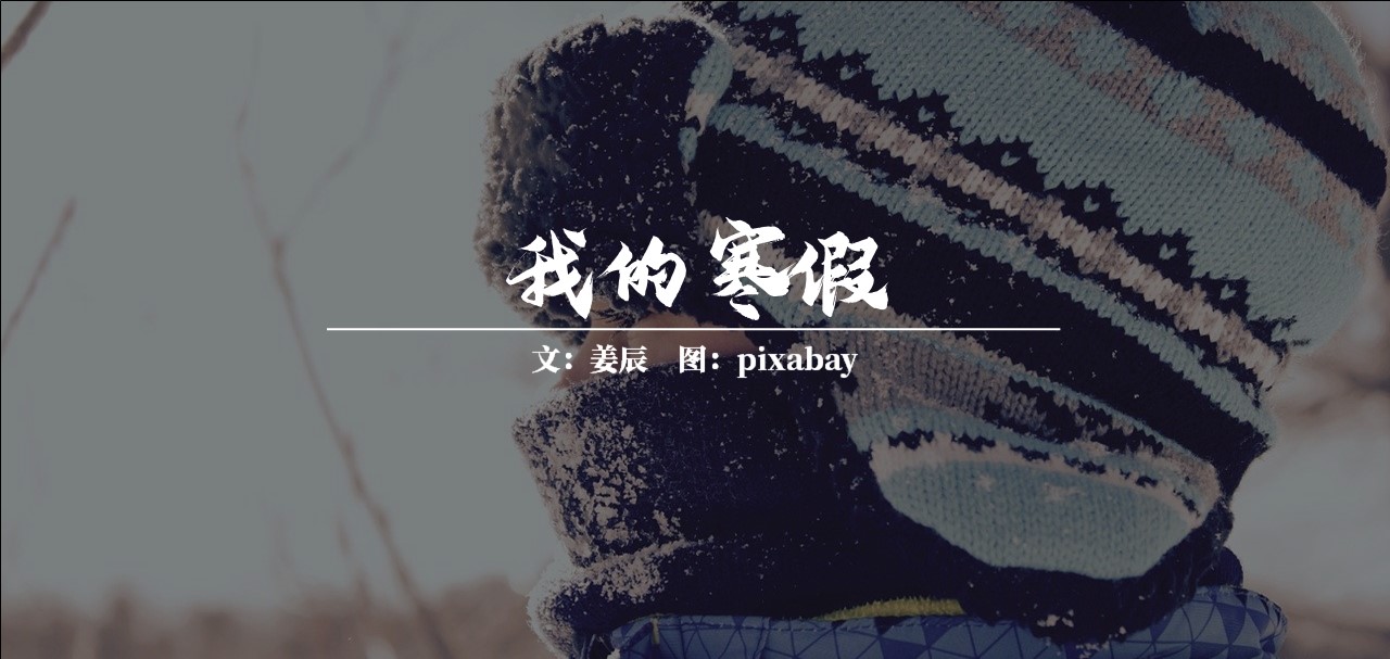 随笔作文我的寒假生活,寒假随笔作文