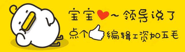 刚破壳的小乌龟怎样分雌雄,乌龟怎么分辨公母小草龟