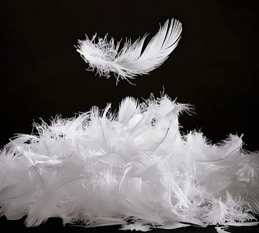 枕头选择什么不踩坑,颈椎不好睡硬枕头好还是软枕头好