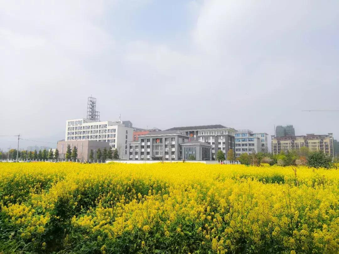 都江堰天府绿道骑行路线图,都江堰周边最美骑行路线