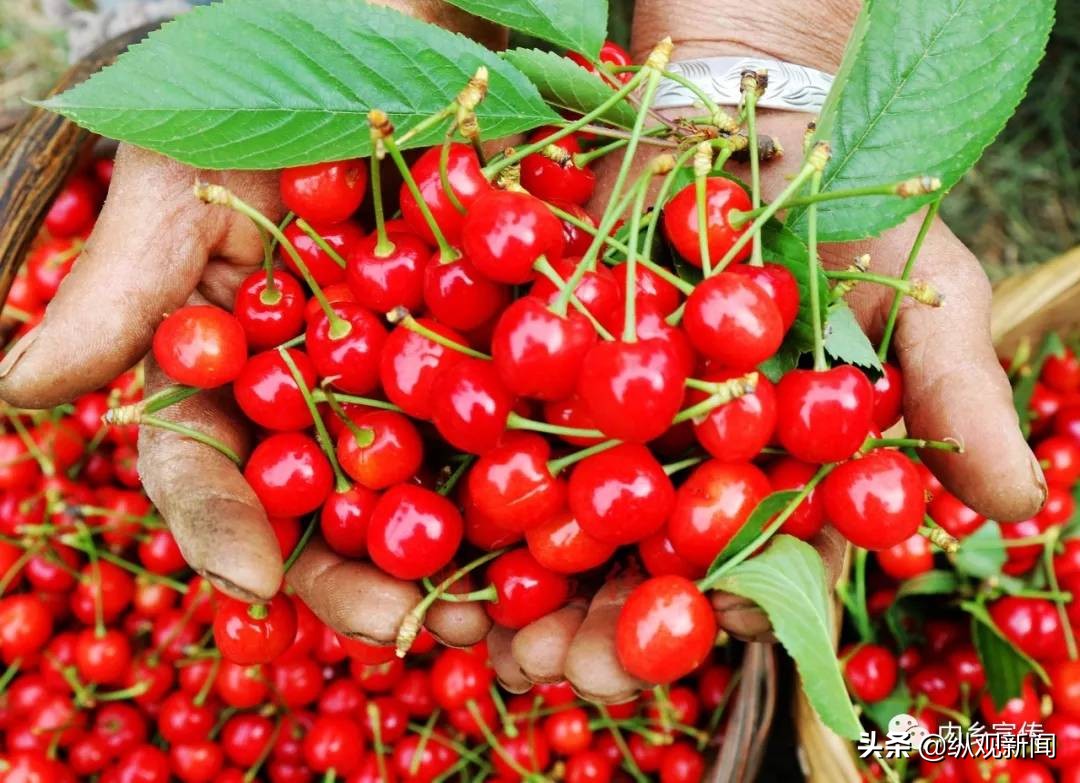 内乡县桃溪镇桃庄河村,内乡县桃溪镇桃庄河邓家洼