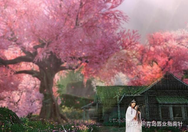 西海岸2024年房价预测,西海岸楼市动态分析