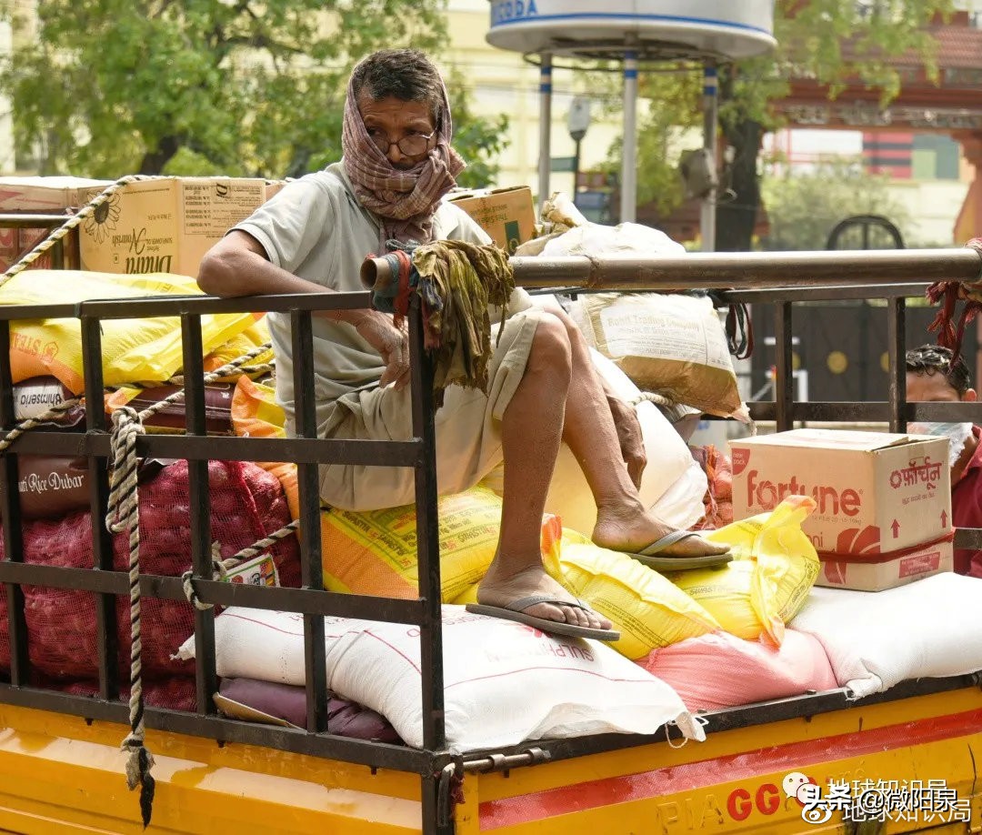 印度，“野生便利店”|地球知识局