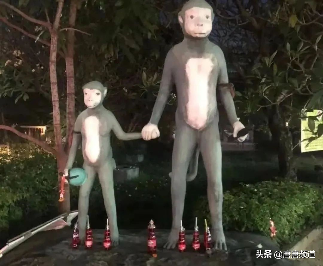 泰国5大奇葩冷知识让人瞠目结舌,泰国为什么会有七种颜色