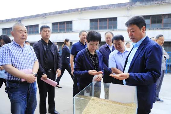 甘肃特产红川酒,甘肃红川酒业老字号