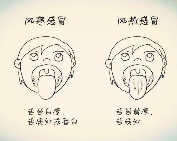 怎么用橘子缓解咳嗽最有效,橘子治咳嗽小妙招