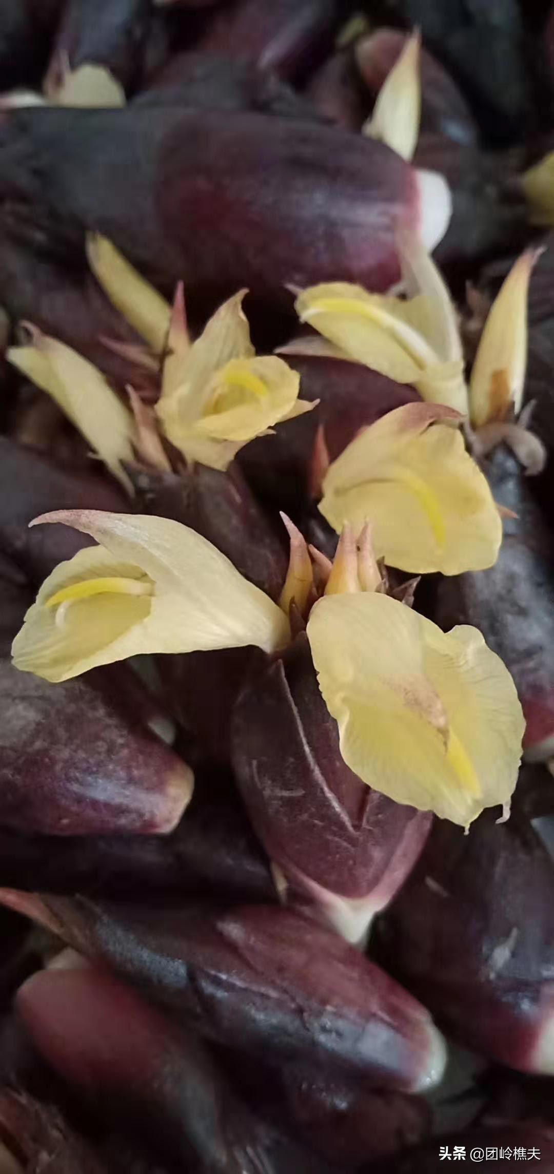 创业项目小项目,创业实用小项目