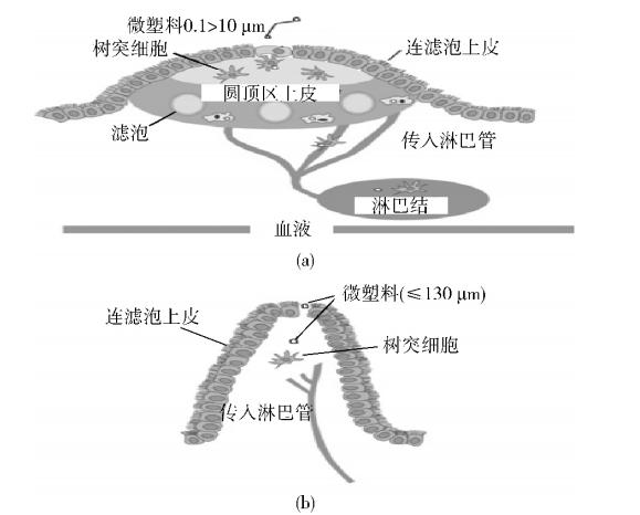 聚丙烯婴儿奶瓶会释放大量微塑料,聚丙烯奶瓶对宝宝的危害