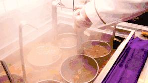 川魂帽牌货冒菜，第一口就要勾走你的魂~