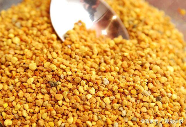 冬季蜜蜂没有蜜源怎么生存？有经验的蜂农这样做