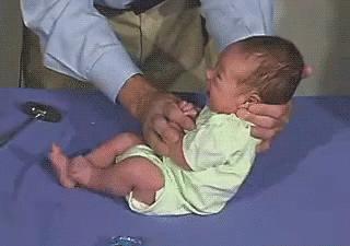 怎样催眠小猫咪,如何催眠一只小猫咪