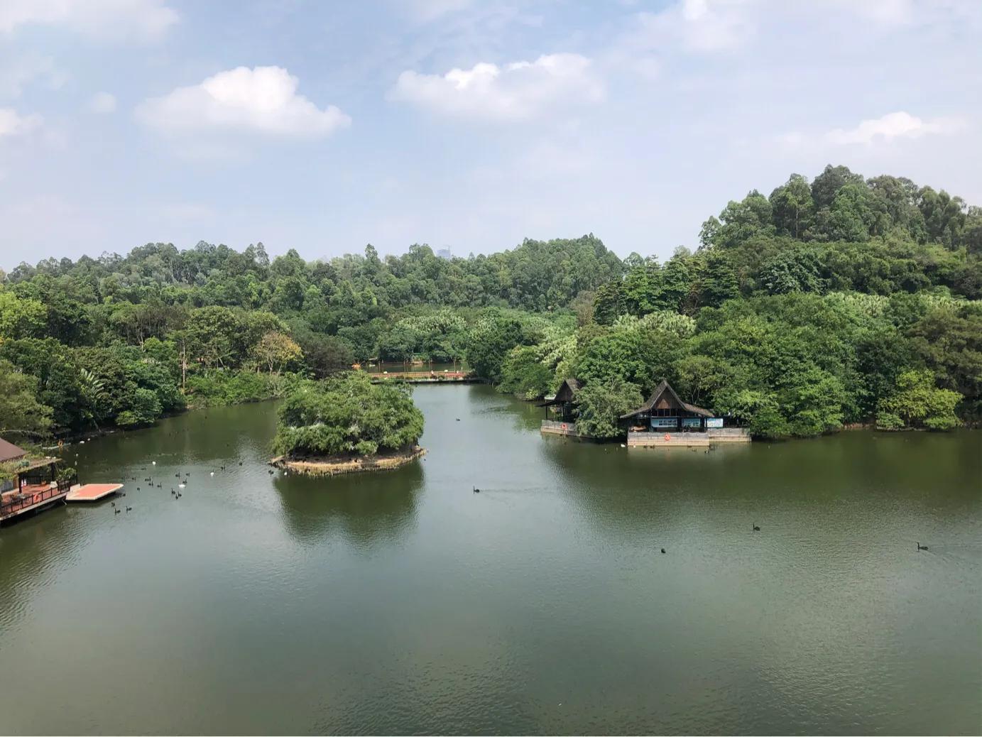 暑期广州长隆野生动物世界门票,长隆海洋王国和野生动物园门票