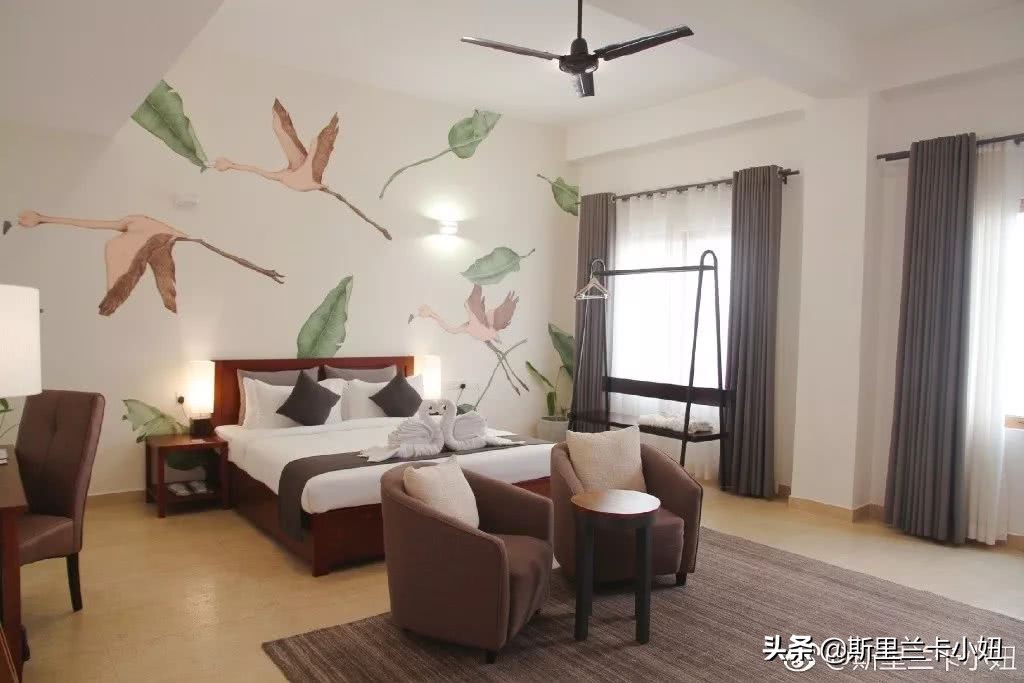 科伦坡淡山茱萸粉ins风酒店:清新艺术气质流行色不仅穿身上