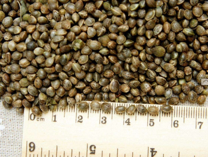 广西河池巴马的特产有哪些,广西巴马野菜豆腐渣汤