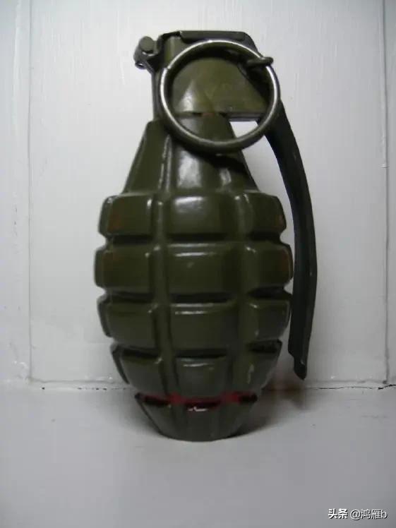 您认识这是什么，能叫出它的名字吗？