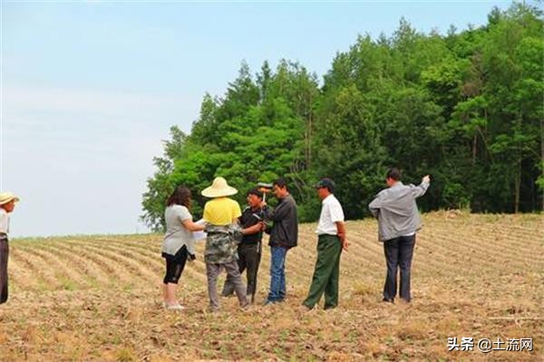 农村分户后土地还在吗,分户后承包地能分开确权吗