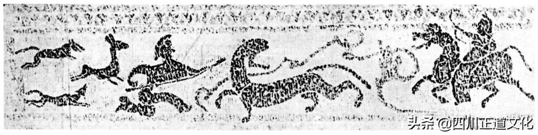 猫的故事高清图片,盘点猫的曾经故事