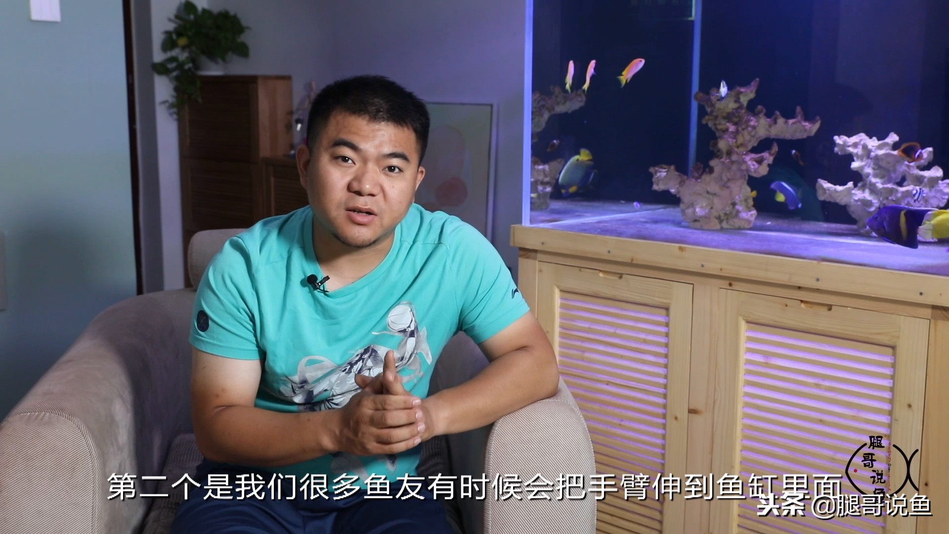 除油膜面巾纸,养鱼小技巧观赏鱼