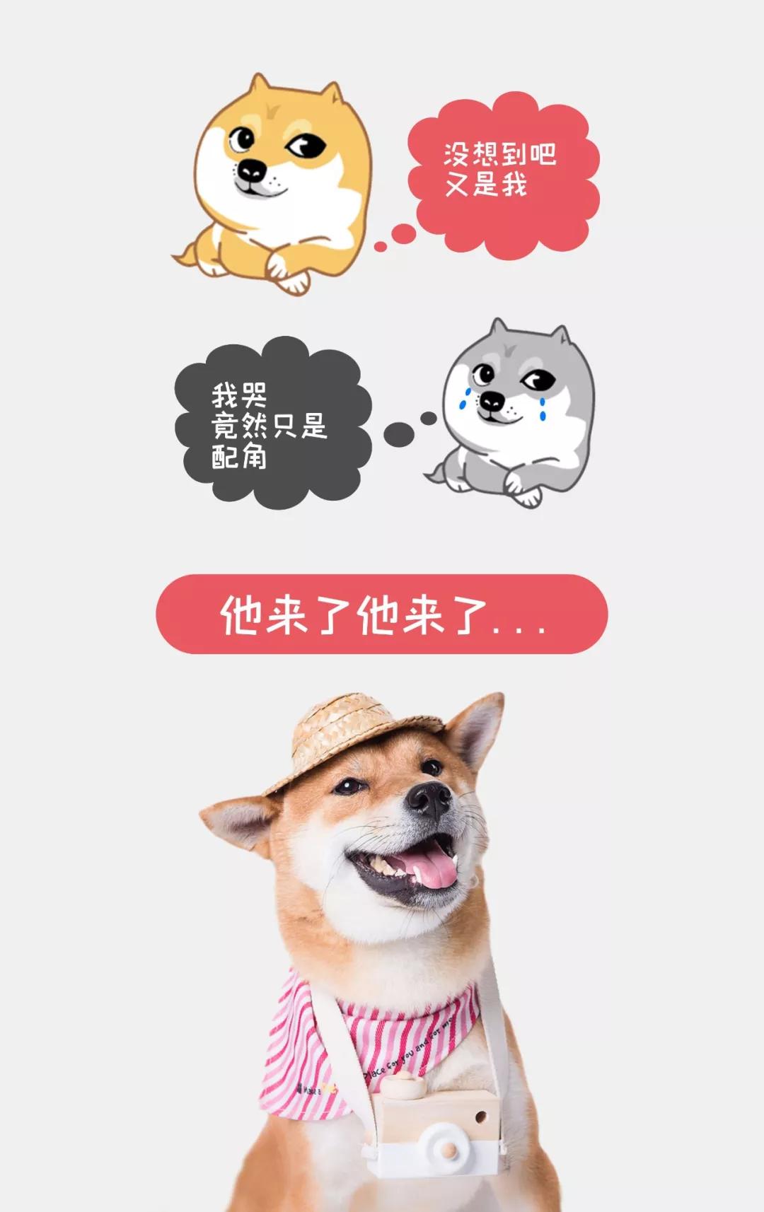 怎么才能学会做海报,活动方案海报设计图片