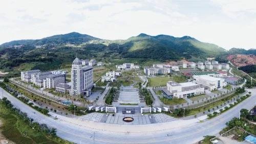 探访福建铁观音茶叶,安溪铁观音传承茶文化价格