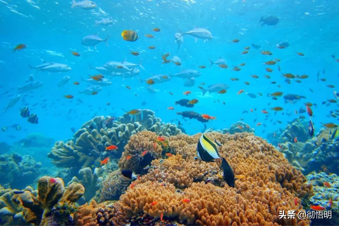 东南亚最适合旅游的地方有哪些,东南亚适合旅游的地方