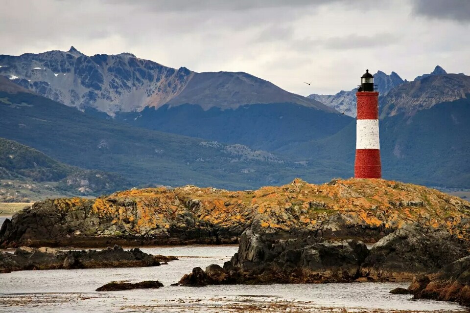 g20阿根廷峰会各国领导入场,阿根廷g20峰会各国领导抵达现场