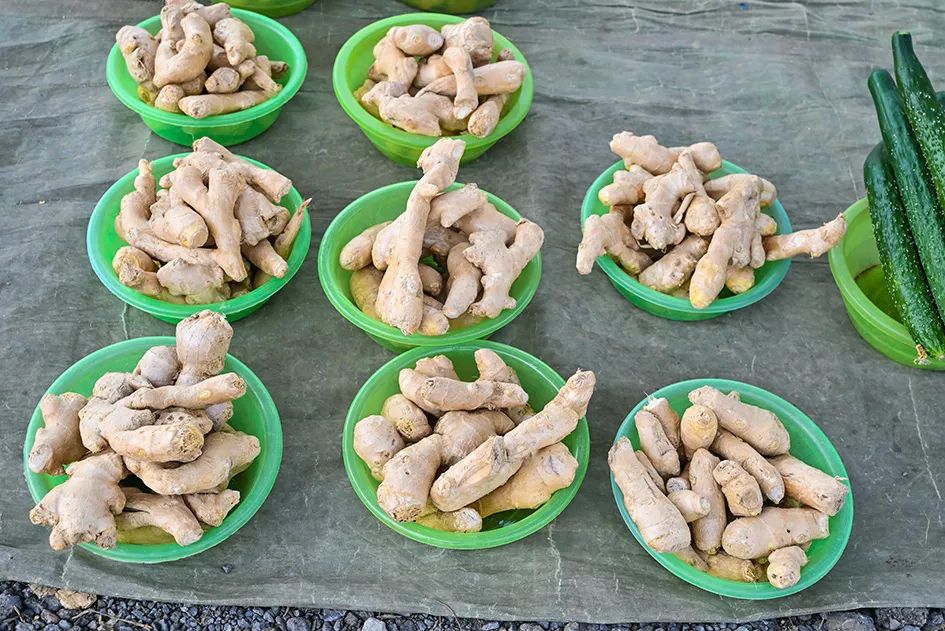 北京京郊大集地理位置,今天京郊哪有大集