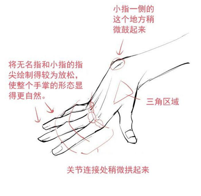 画动漫人物女生的手部教程,动漫人物的手怎么画简单又漂亮