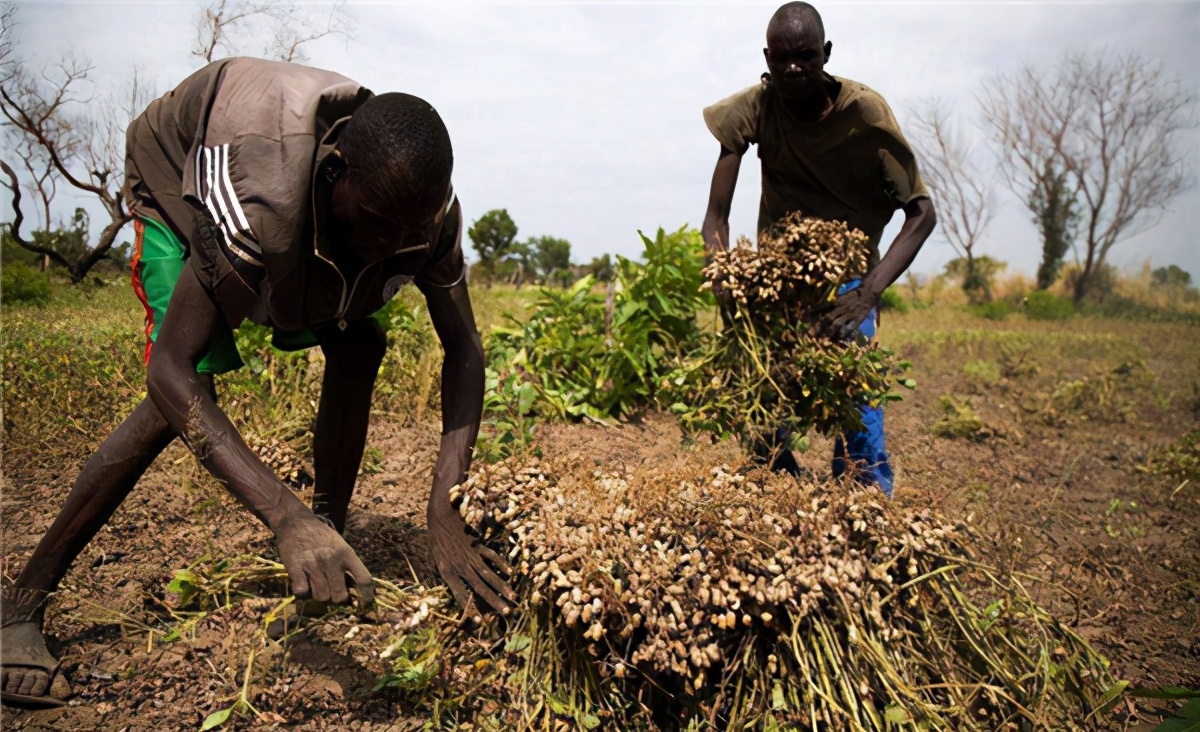 中国人为何是黄种人？一个隐私部位留下了秘密，性的选择与进化