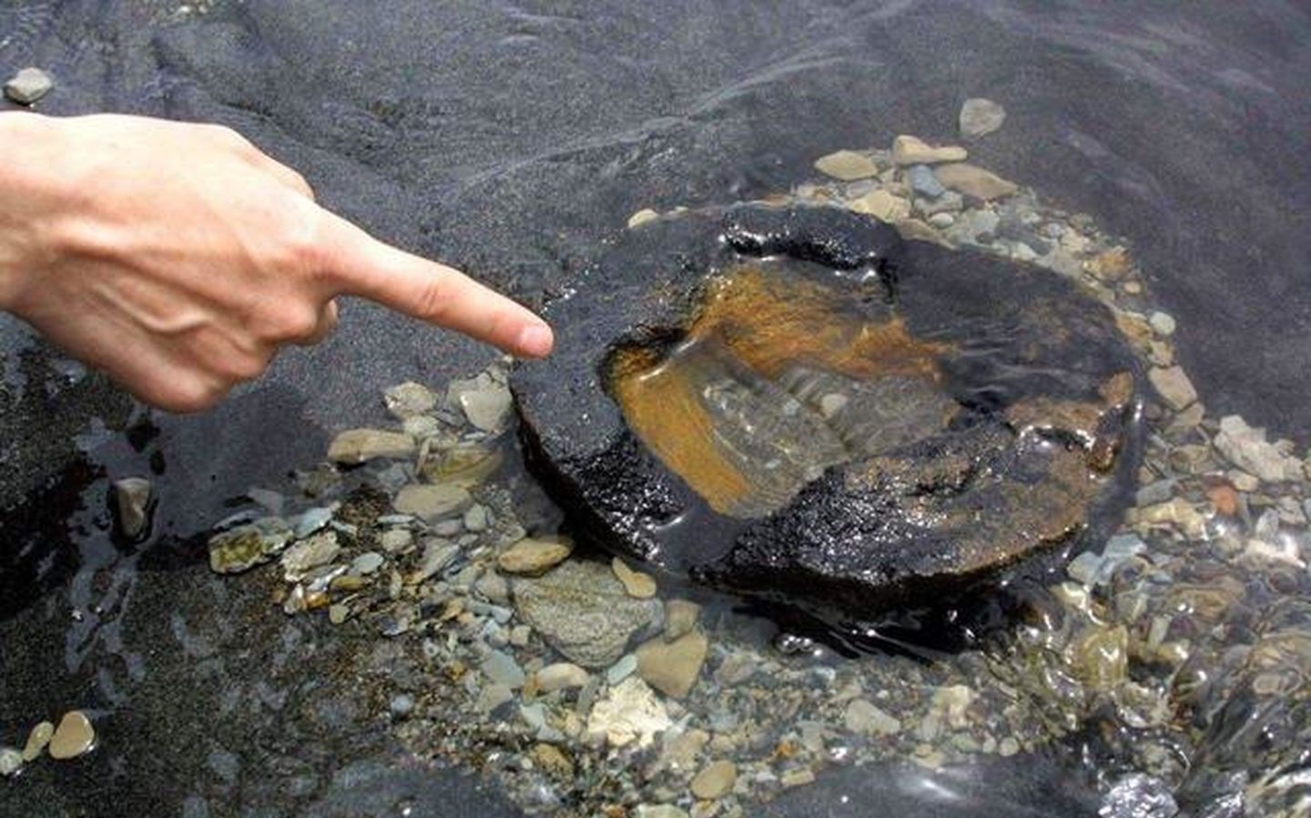 白公山外星人遗址景点,白公山外星人遗址能不能挖