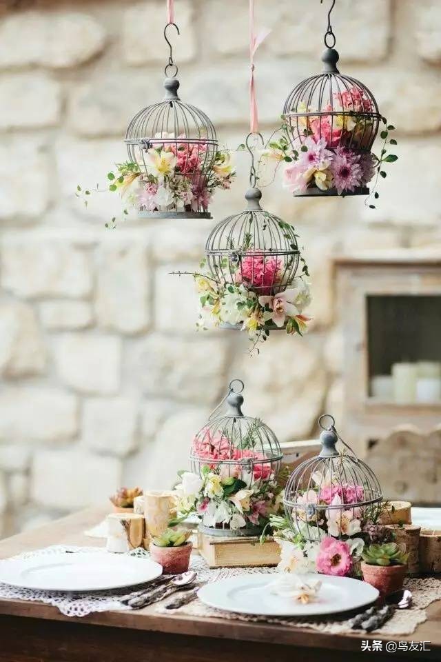 鸟窝为何这么干净,鸟窝怎样可以让鸟很喜欢