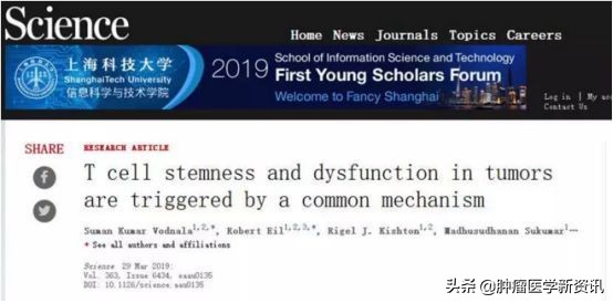 最新免疫疗法新消息,免疫疗法最近几年有大的发展吗