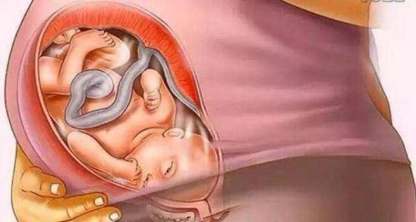 一月到十月怀胎症状,一分钟看懂十月怀胎