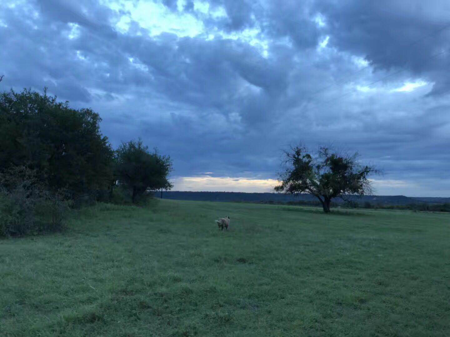 贝勒大学怎么样?几个理由就能记住这所大学