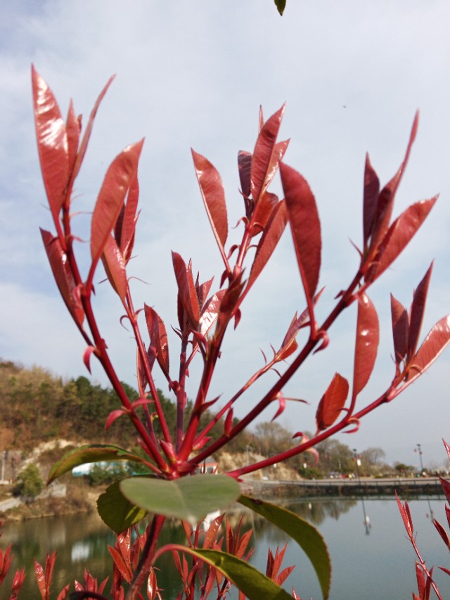 最好的投资是孩子的教育怎么投资,孩子的教育是最好的投资方式